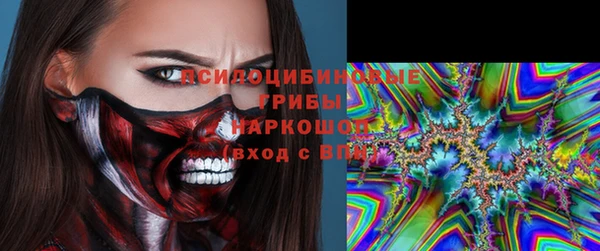 ГАЛЛЮЦИНОГЕННЫЕ ГРИБЫ Белоозёрский