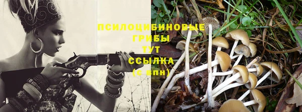 ГАЛЛЮЦИНОГЕННЫЕ ГРИБЫ Белоозёрский