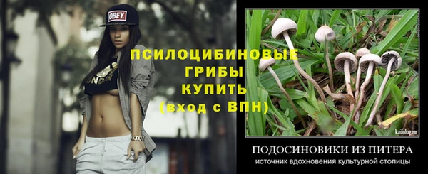 скорость Белокуриха