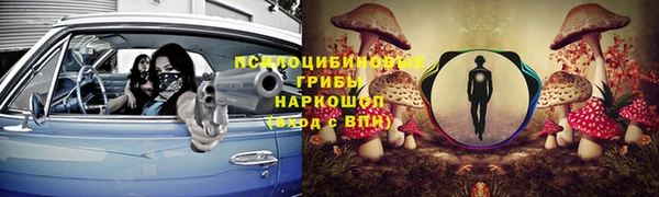 ГАЛЛЮЦИНОГЕННЫЕ ГРИБЫ Белоозёрский